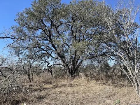 Devine, TX 12.31 Acres Land
