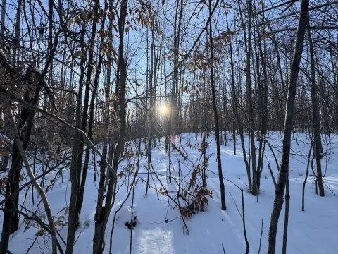 Mio Hunting Land Opportunity