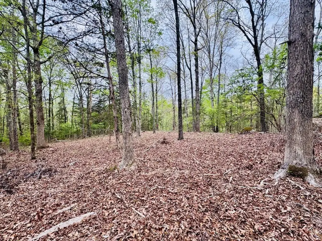 Picture 19