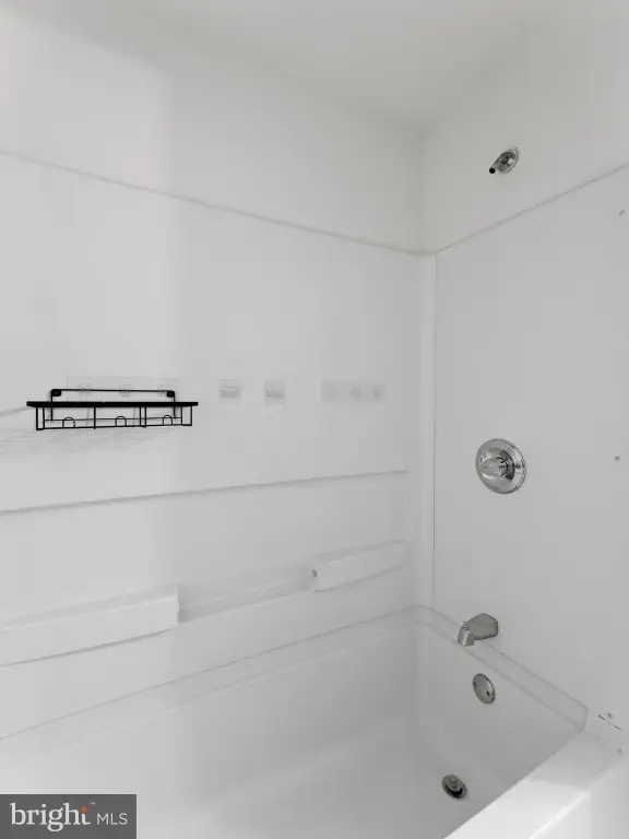 Picture 51
