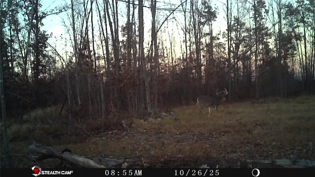 Picture 18