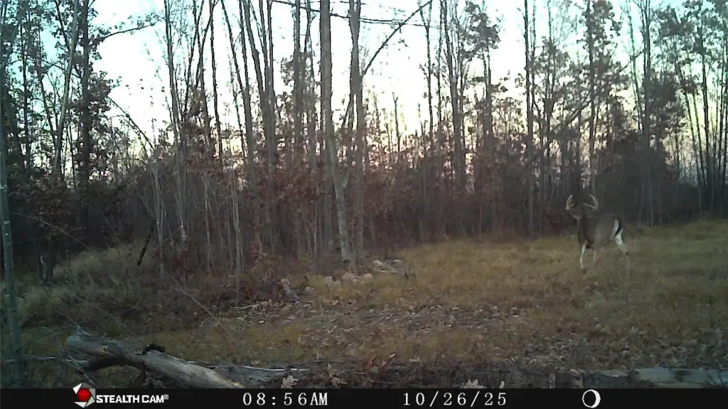 Picture 21