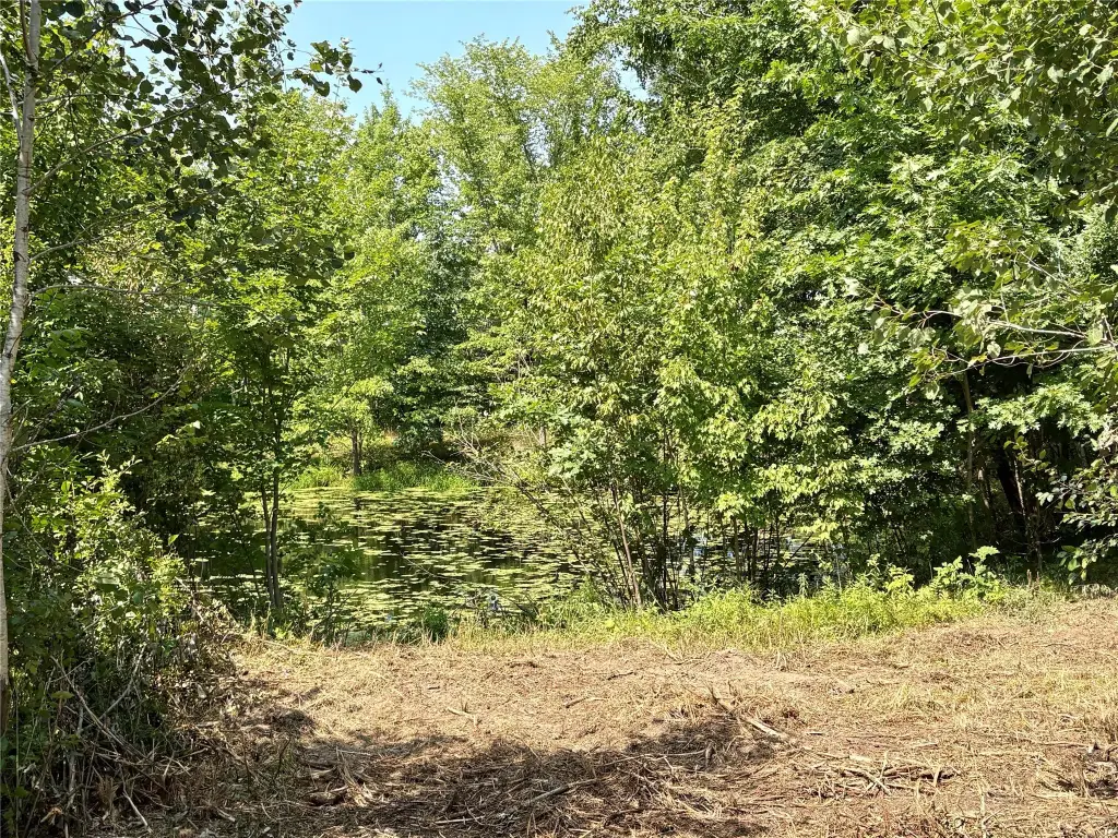 Picture 28