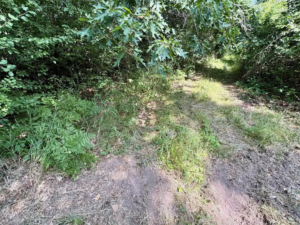 Picture 36