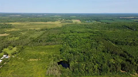 Hunting Land with Established Trails