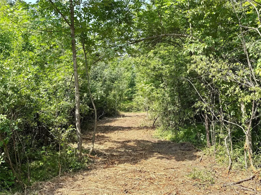 Picture 27