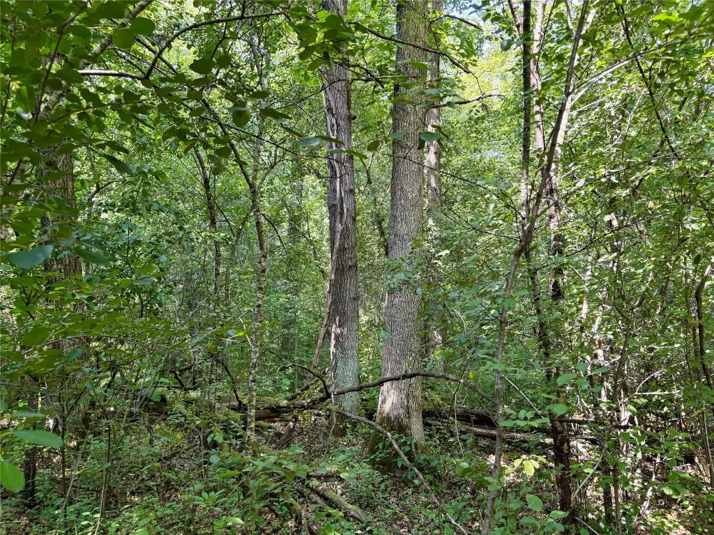 Picture 37