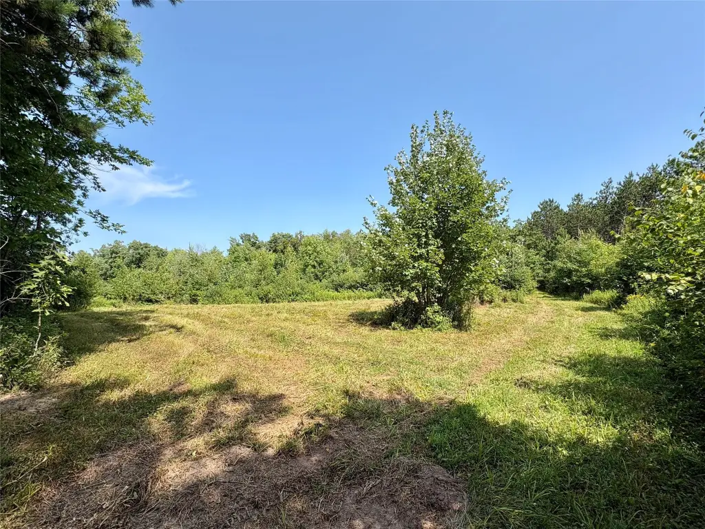 Picture 24