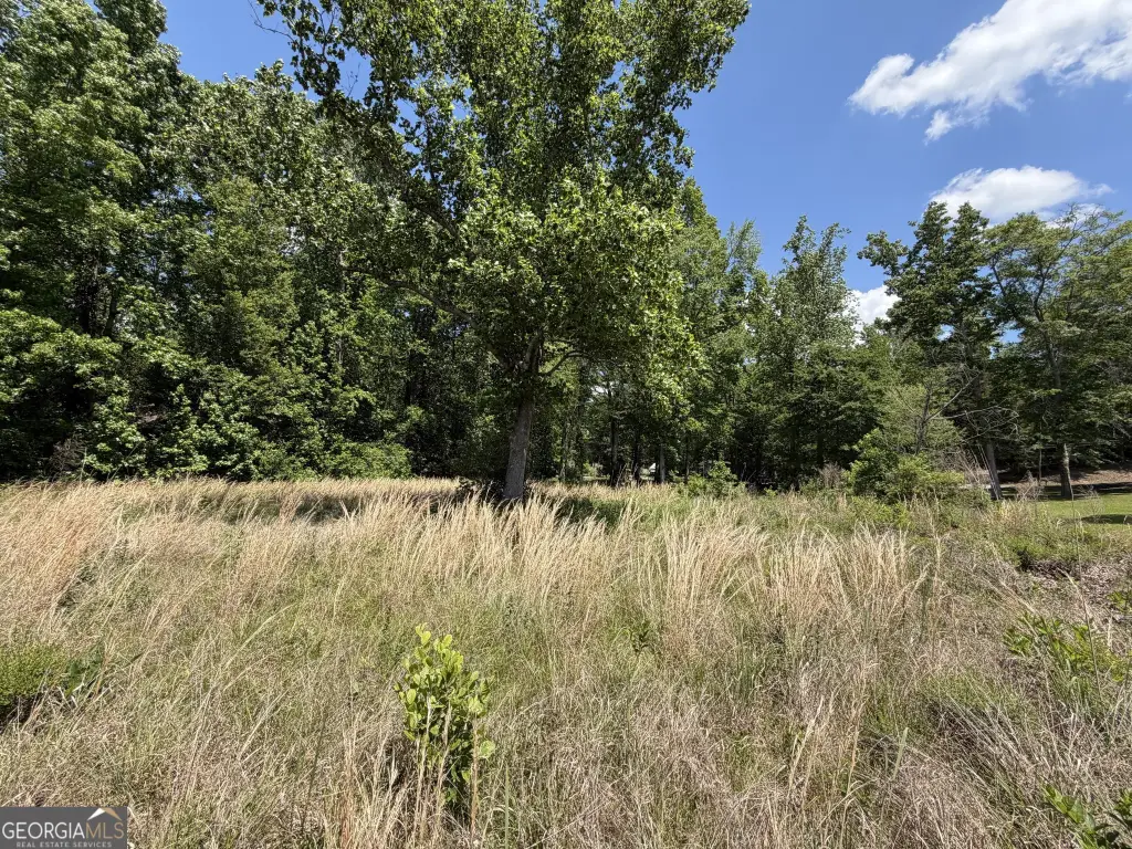 Picture 21