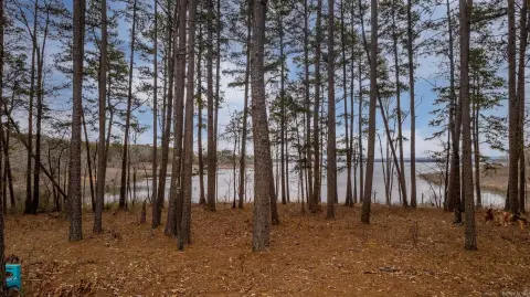 Waterfront Land with Cove Views