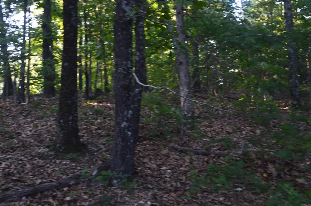 Picture 8