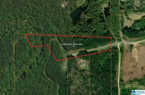 6.1 Acres in Brookwood, AL