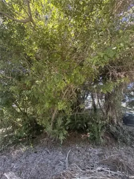 Vero Beach Land For Sale