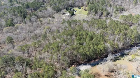 Residential Lots in Northport, Alabama