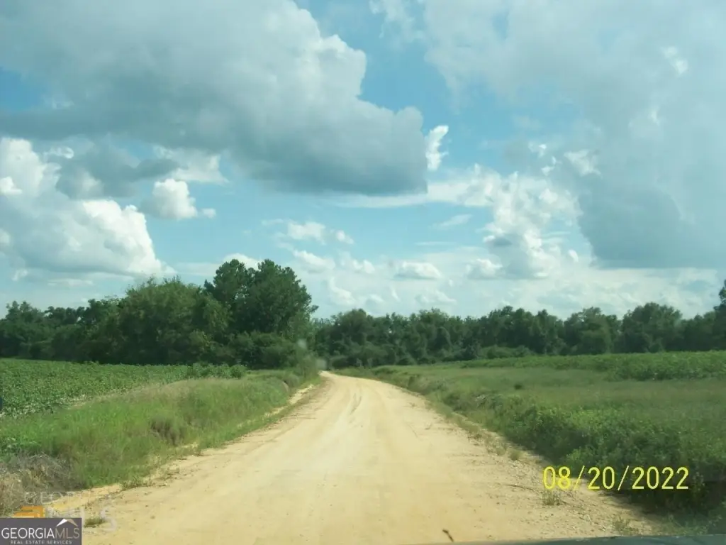 Picture 3