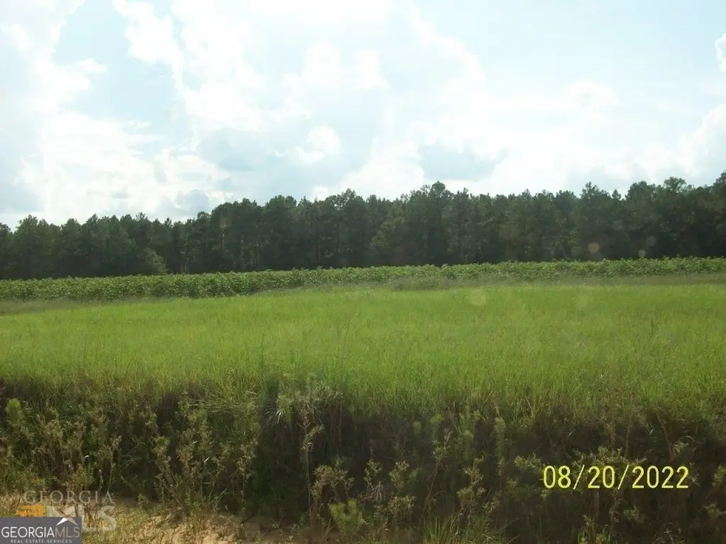 Picture 8
