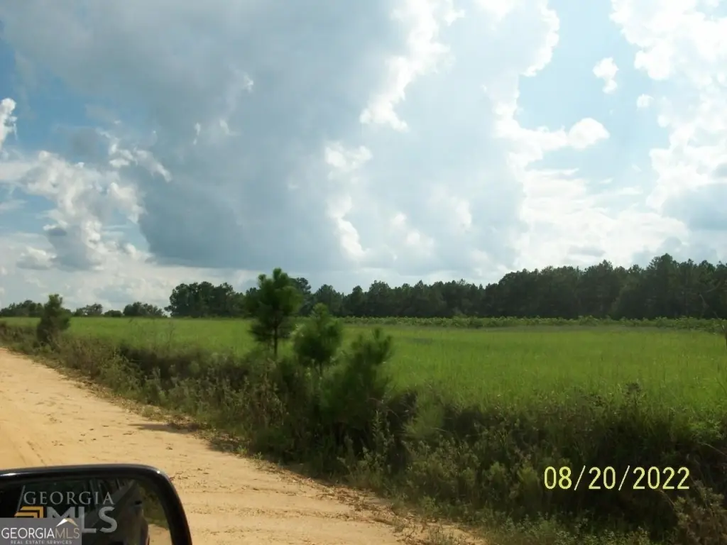 Picture 11