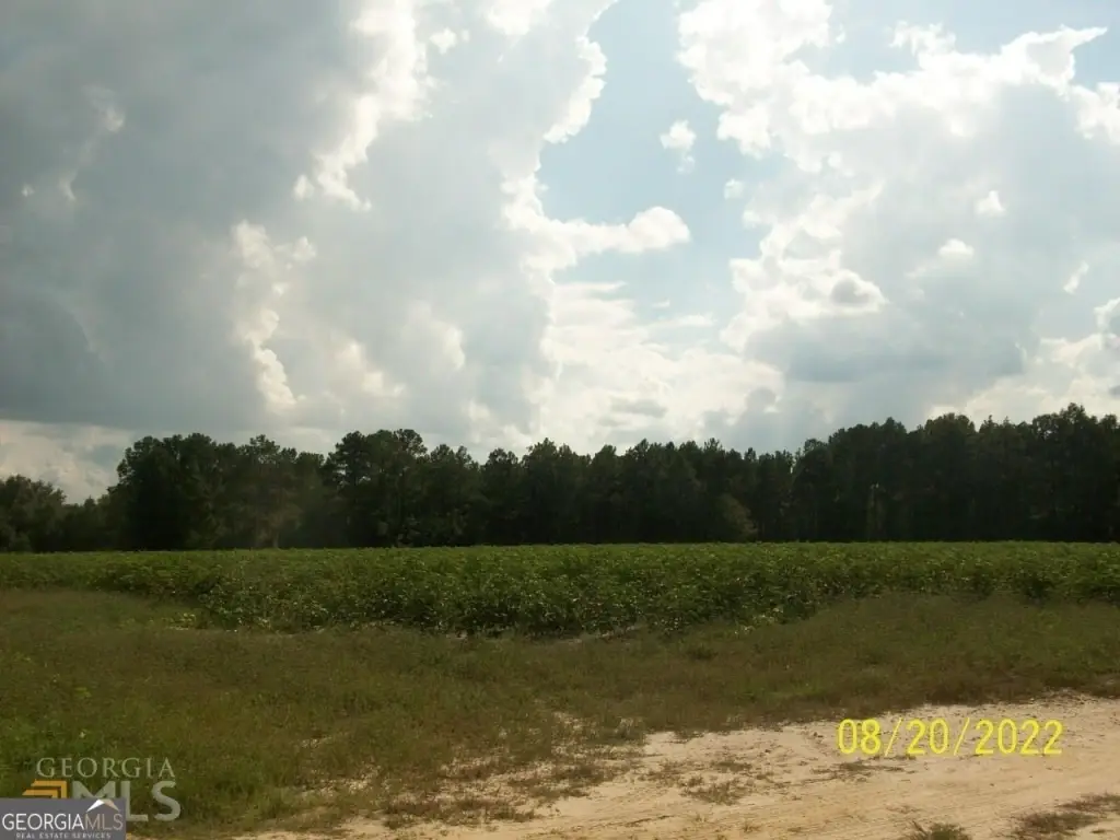 Picture 12