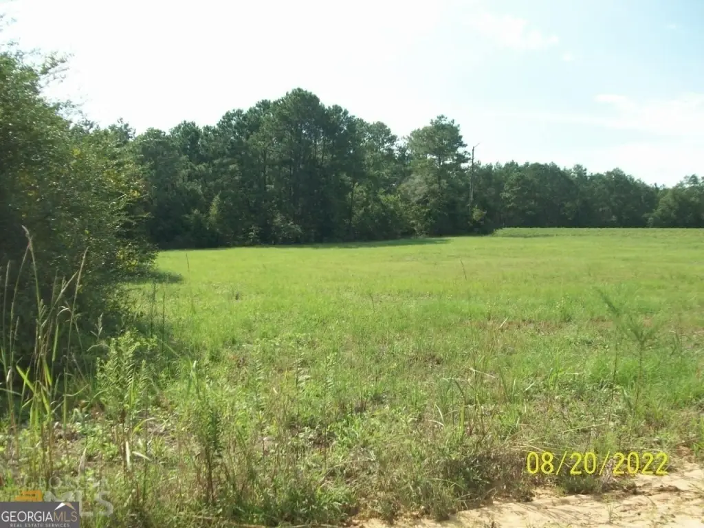 Picture 5