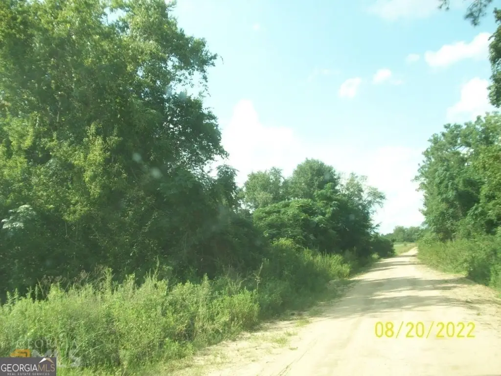 Picture 4