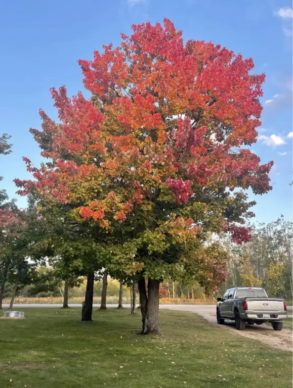 Picture 40