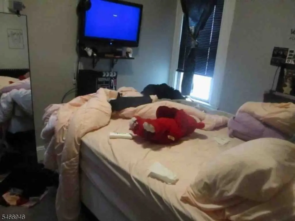 Picture 13