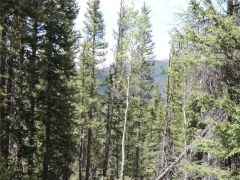 Treed Land in Michigan Hill