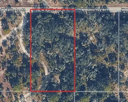 Crystal River Buildable Lot