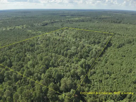 Rosston, AR Timberland Hunting Investment