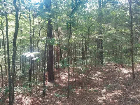 Road-Frontage Land