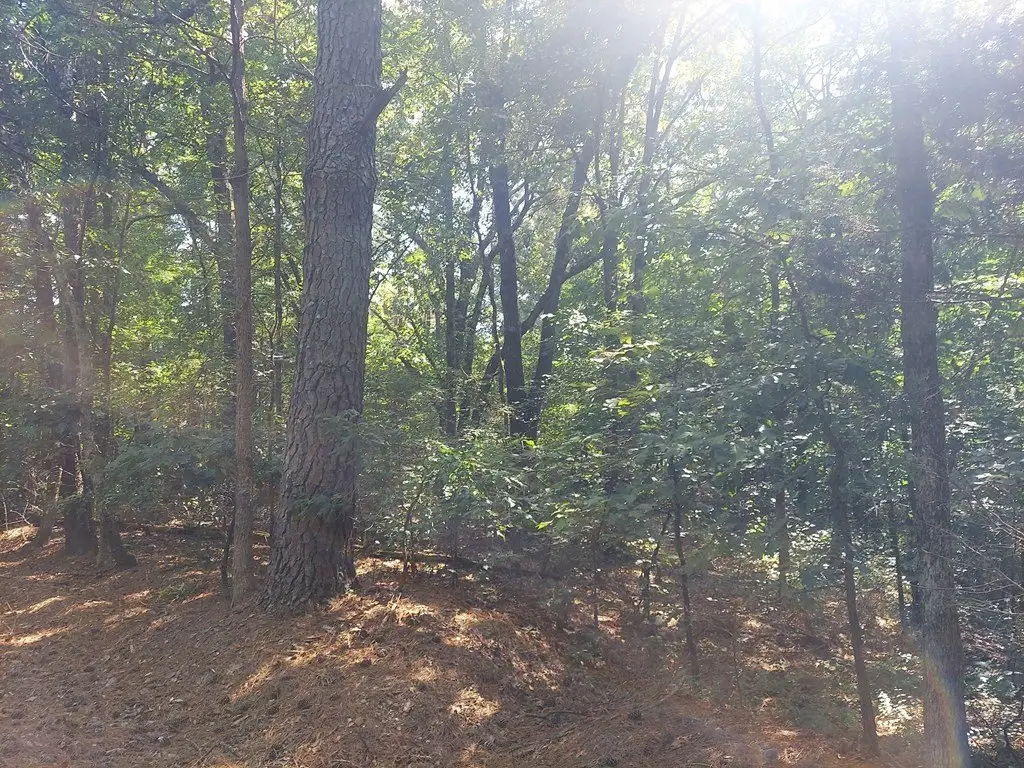 Picture 3