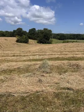 Hunting and Pasture Land