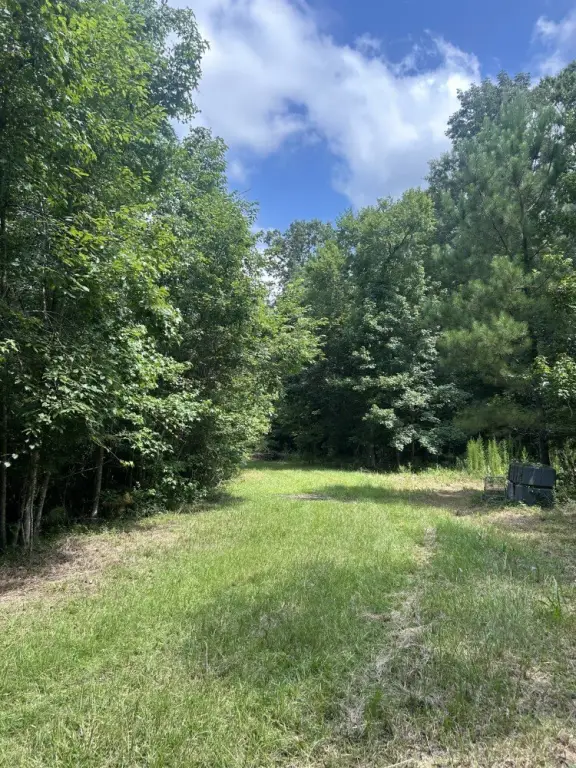 Picture 19