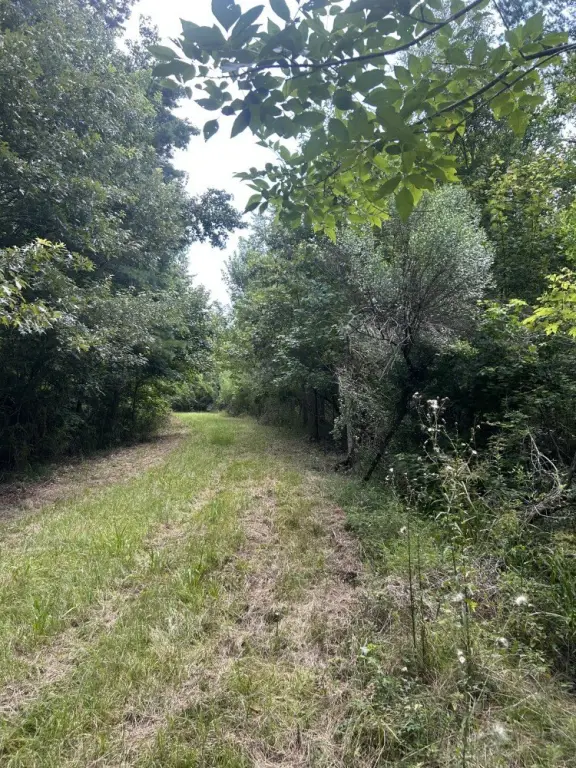 Picture 22