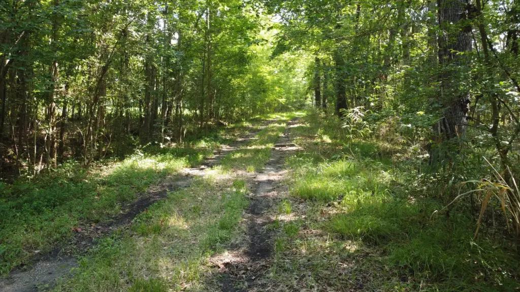 Picture 21