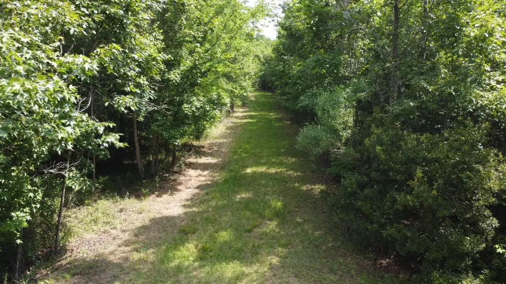 Picture 2