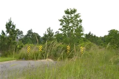 Residential Land in Pineville, LA