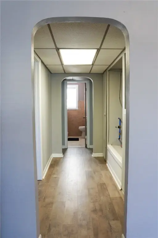 Picture 16