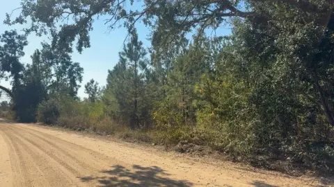 Land for Sale, Lumber City