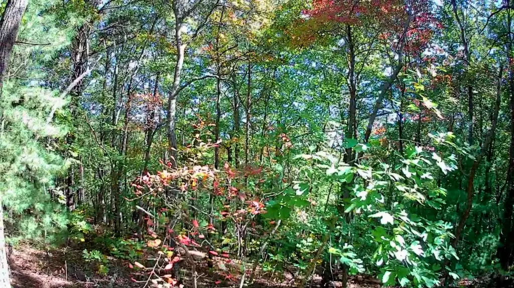 Picture 2