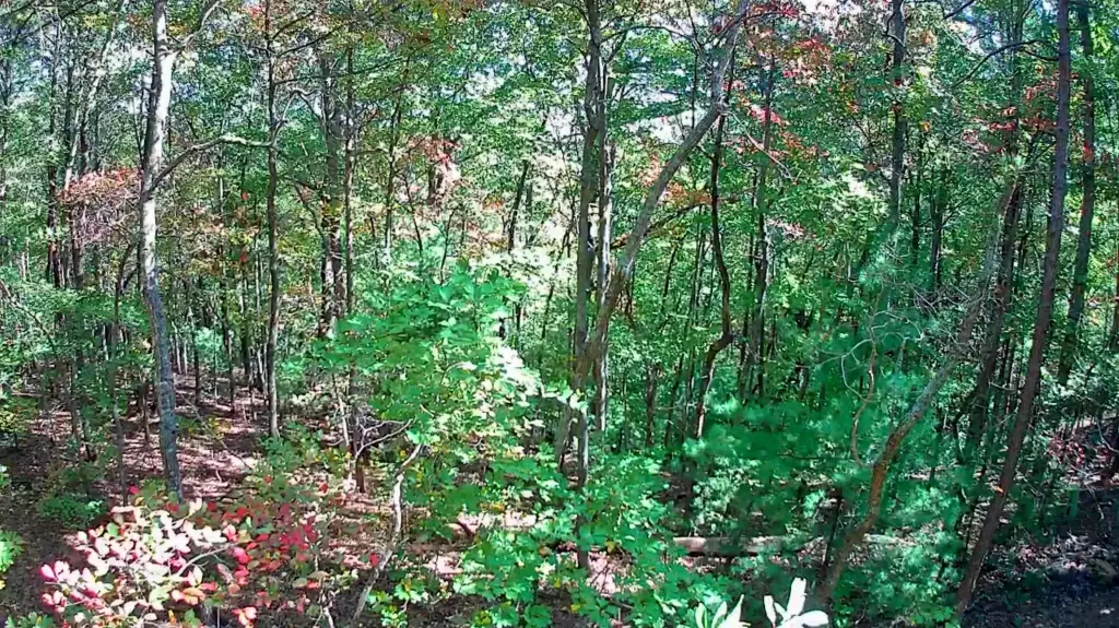 Picture 4