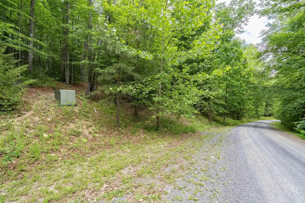 Picture 15