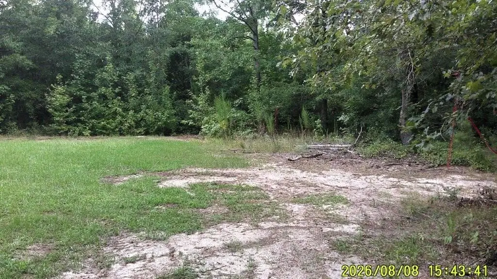 Picture 28