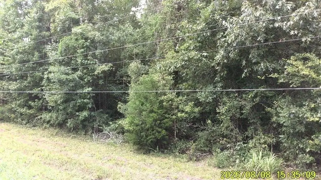 Picture 25