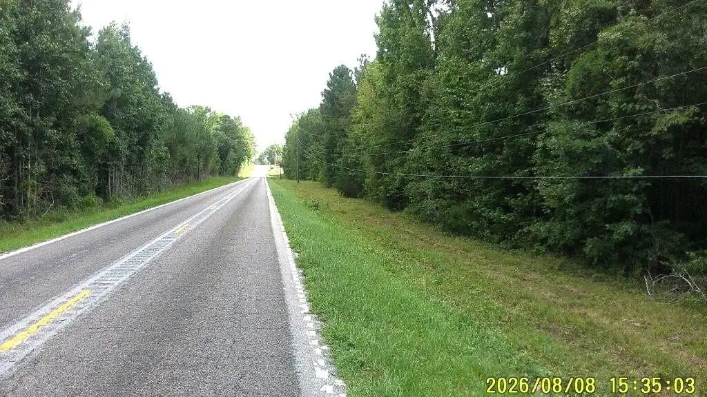 Picture 23