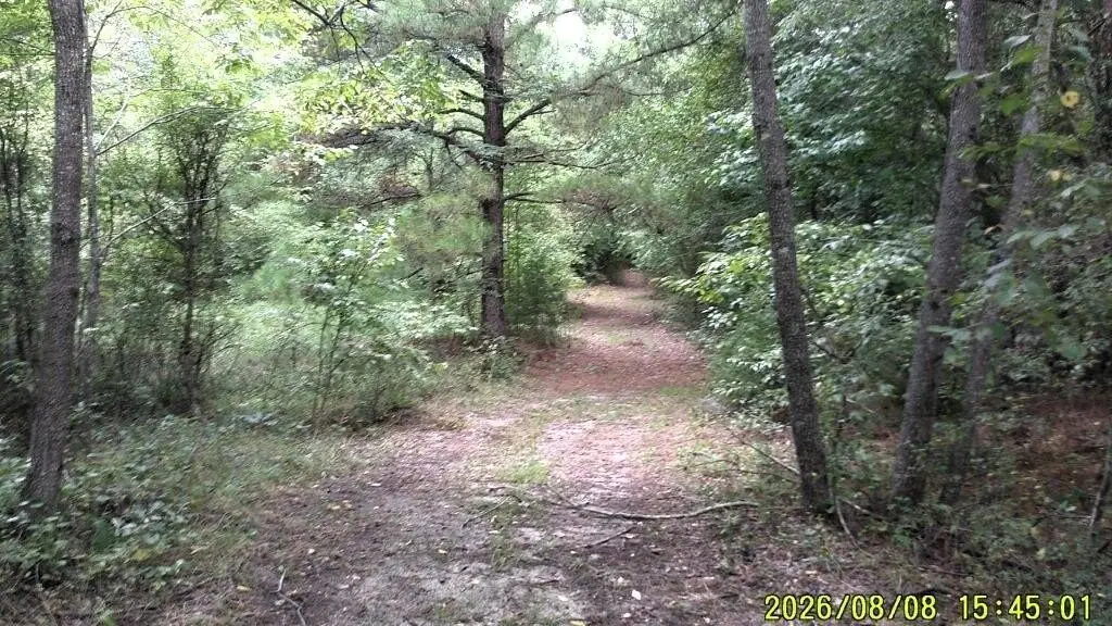 Picture 31
