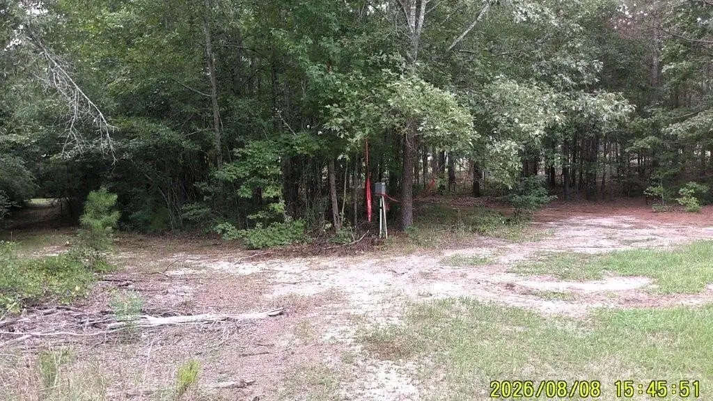 Picture 33