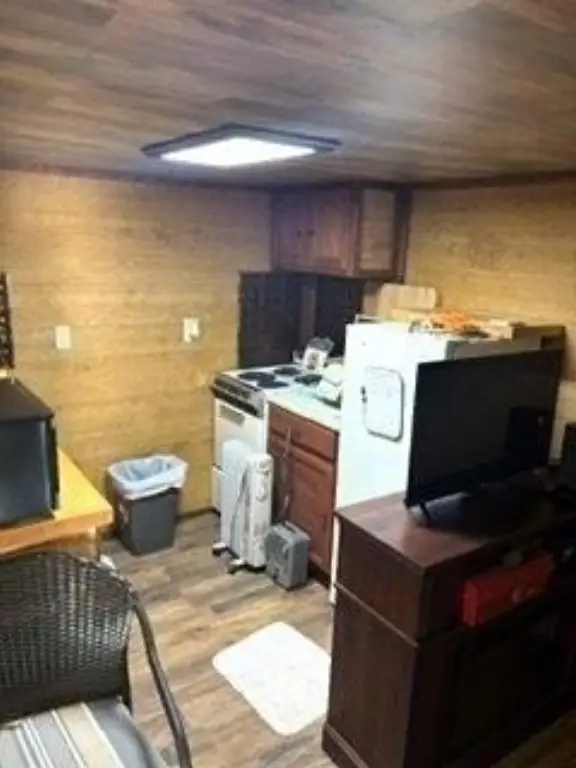 Picture 12