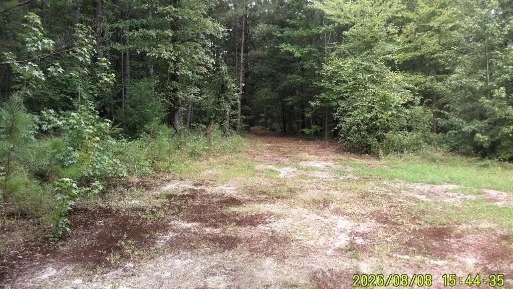 Picture 30