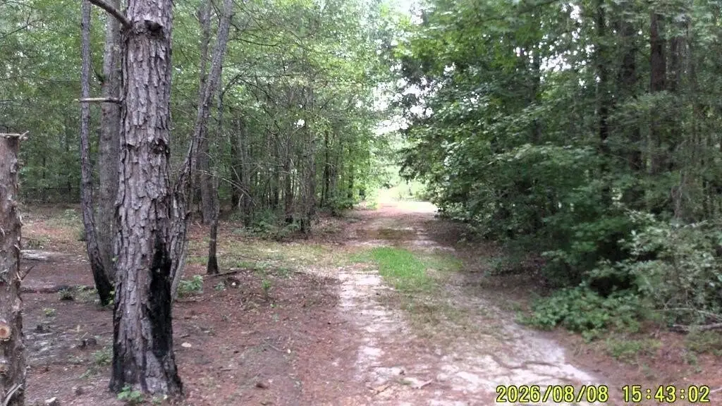 Picture 27